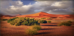 Oman deserts